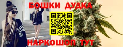 индика Мирный