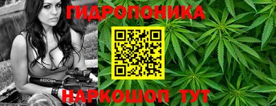 гидропоника Михайловка