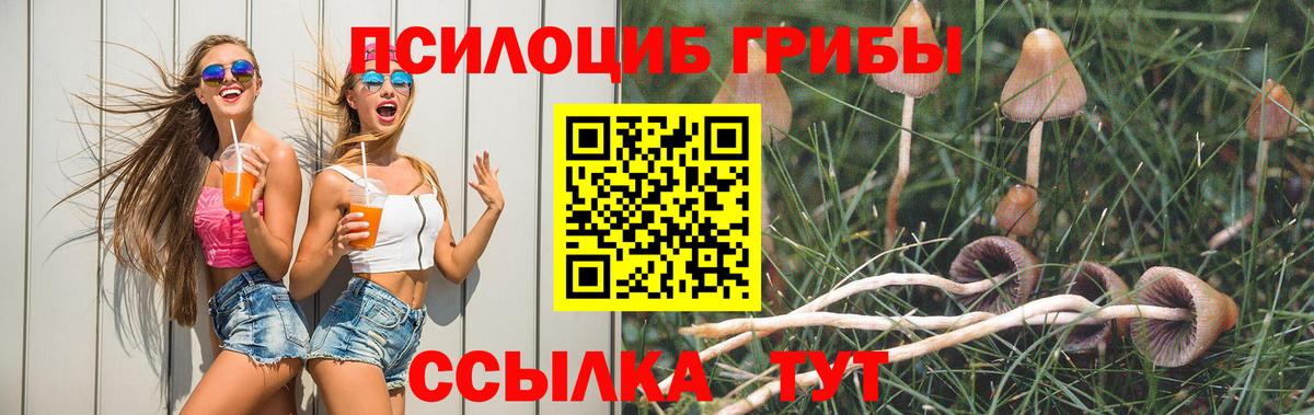 Кирово-Чепецк  Галлюциногенные грибы мицелий  Вход с VPN 